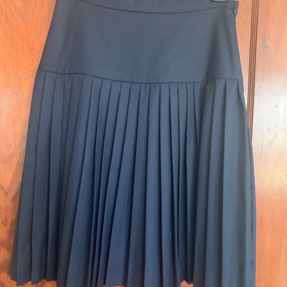 J Crew Pleated Skirt